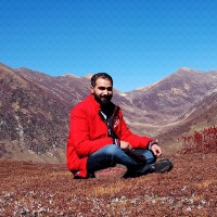 Ali Raza
