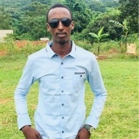 Mohamed Hassan M. Khalif