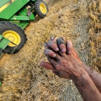 Sylvain Rivière - Beaugrand