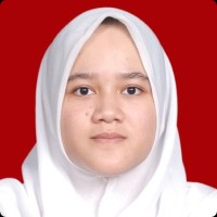 Lisa Arief