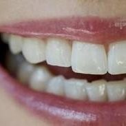 Robert B. Davis DDS