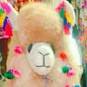 Ted Khan