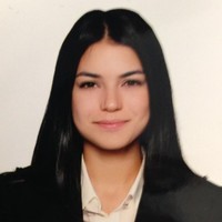 Ceren Oktay Toper