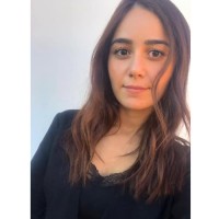 Gül Çiçek Saçma Bendix