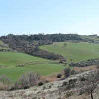 Vito Lioce