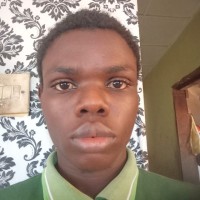 Adebisi Martins