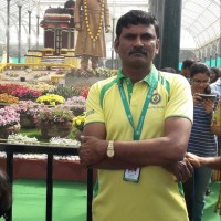 RAMESH H V Ramesh