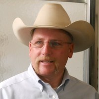 David Link