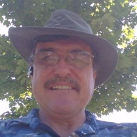 David Seipel