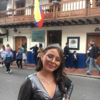 Danna Gabriela Puentes Cubides