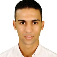 Ahmed Abdelhalim mohamed