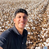 Matheus Nascimento