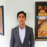 Matthew J Ferrara
