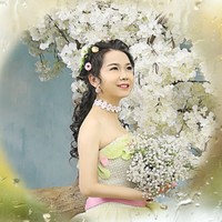安小主