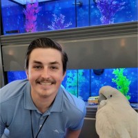 Joshua Henderson