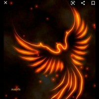 PHOENIX TYCOON BUSINESS GROUP
