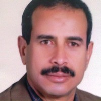 Hassan Noureldin