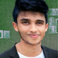 MD. Arafat Hossain