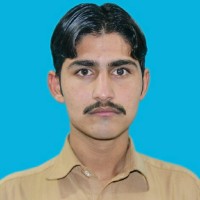 Anwar Hussain