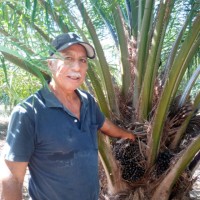 Jesús Alfonso Lopez Balan