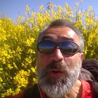 Andrea Quadri