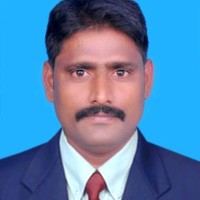 Narayanan P