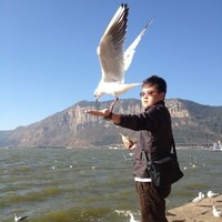 Andy Sun