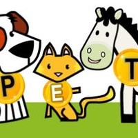 Pets on Line Santiago Chile