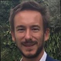 Andrea Martelli