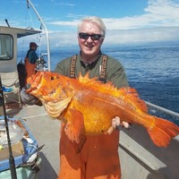 Jim Snyder