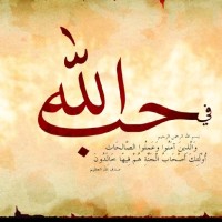 Ahmed Nasser