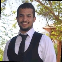 Mohamed Hassan