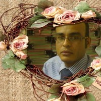 Hany Hamdy