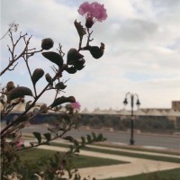 آيات البشر