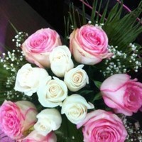 أمجد جردانه