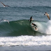 Jokin Arroyo Uriarte