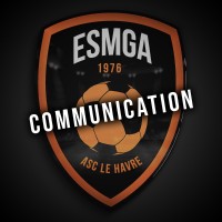 ESMGA Profil Communication
