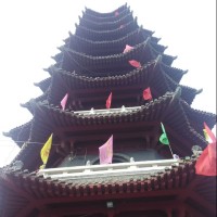 张建陈