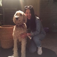 Zhuoyi Lang