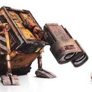 Hans Petter Grimstad