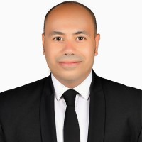 Mohamed E. Hosieny