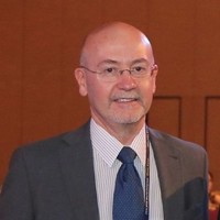 Maurizio Giovanni Vigili