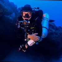 Héctor Toledo Padilla