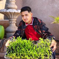 Jack Valdivia