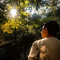 Amirhossein Bari