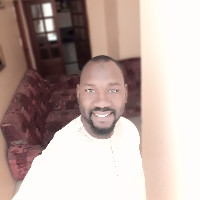 Cheikh A Bamba Ndiaye