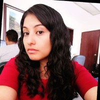 Karina N. Nieto N.