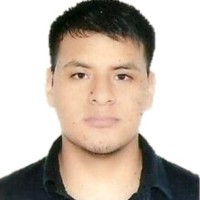 Luis Percy Cardenas Mendoza
