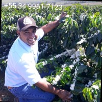 William Barcelos