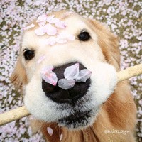 赵荣娟